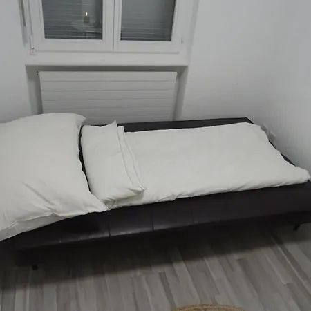 Aare 1 アパート インターラーケン