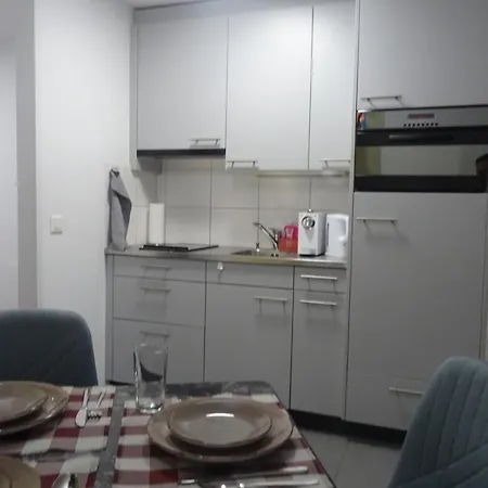 Apartment Aare 1