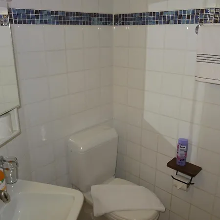 Aare 1 公寓 因特拉肯