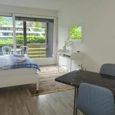 Aare 1 公寓 因特拉肯