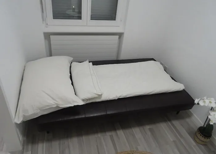 Aare 1 公寓 因特拉肯