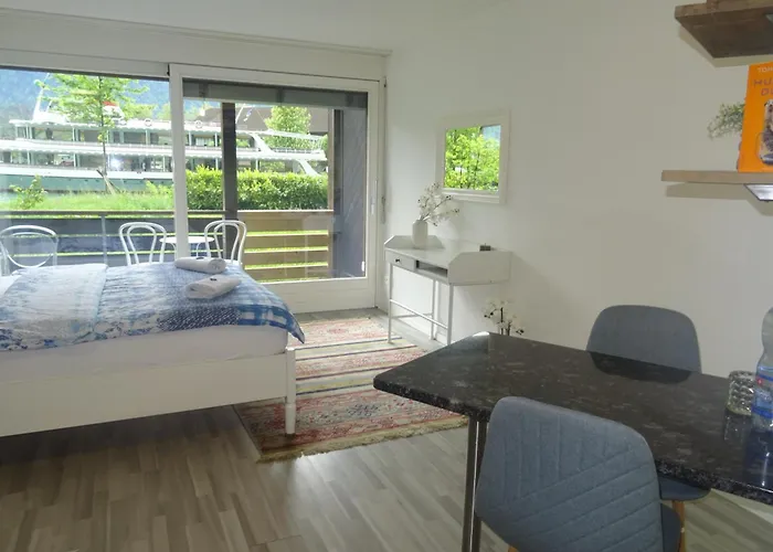 Aare 1 公寓 因特拉肯